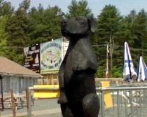 Welcomed by our mascot (black-lab) and his 54" tall paw. (Minimum height required to drive go-karts @ White Lake Speedway Inc.)